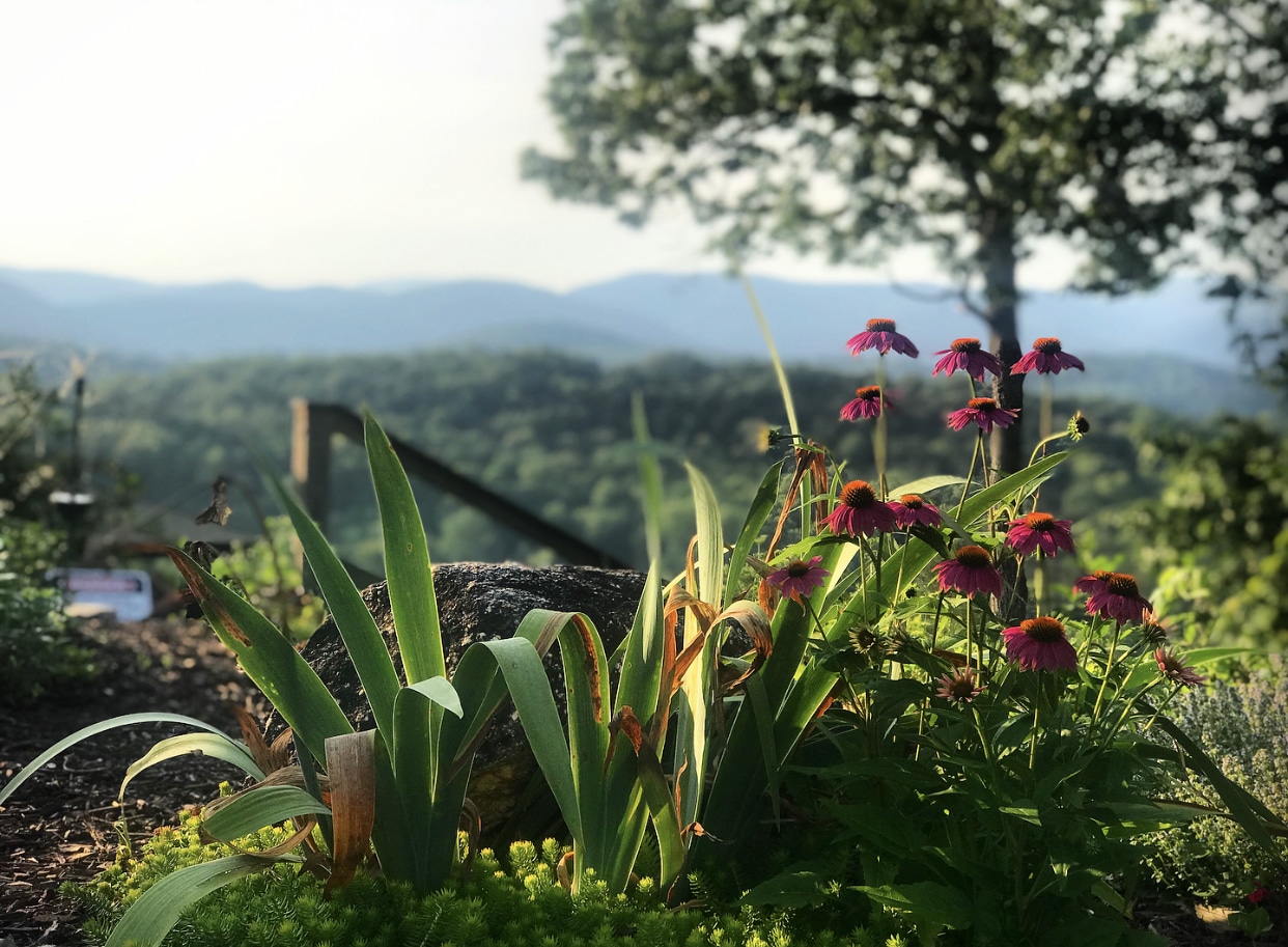 Lucille’s Mountaintop Inn & Spa: A Mountain Sanctuary